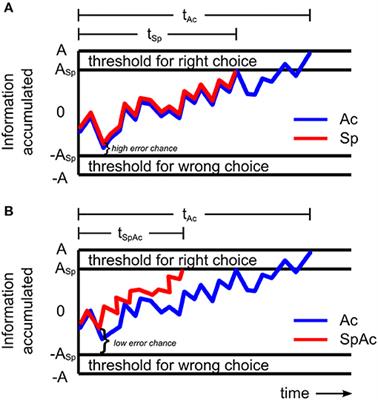 The Role of Cerebral Metabolism in Improving Time Pressured Decisions